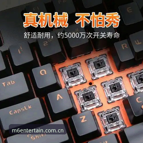 老用户经验谈：M6体育平台2025使用心得，教你玩转M6娱乐APP